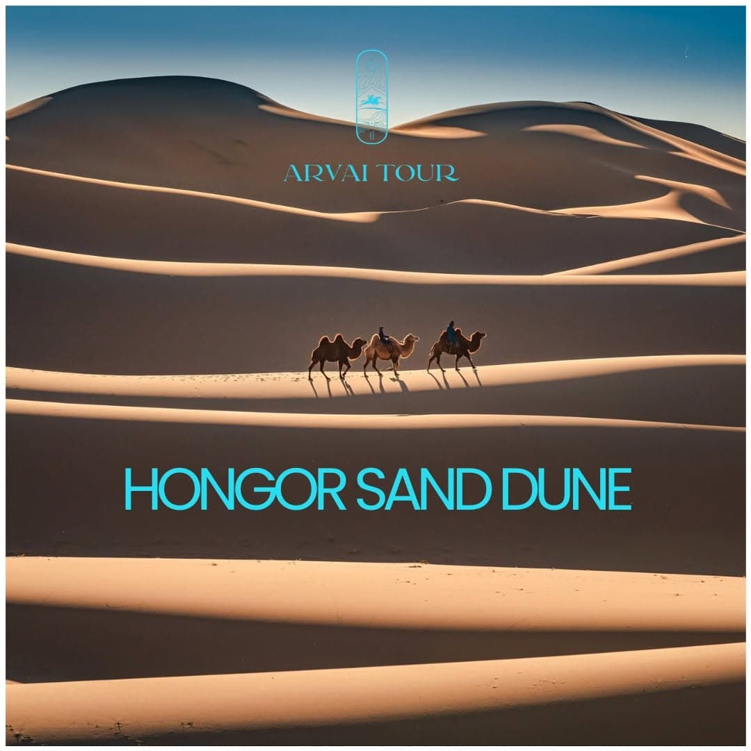 Khongor dunes