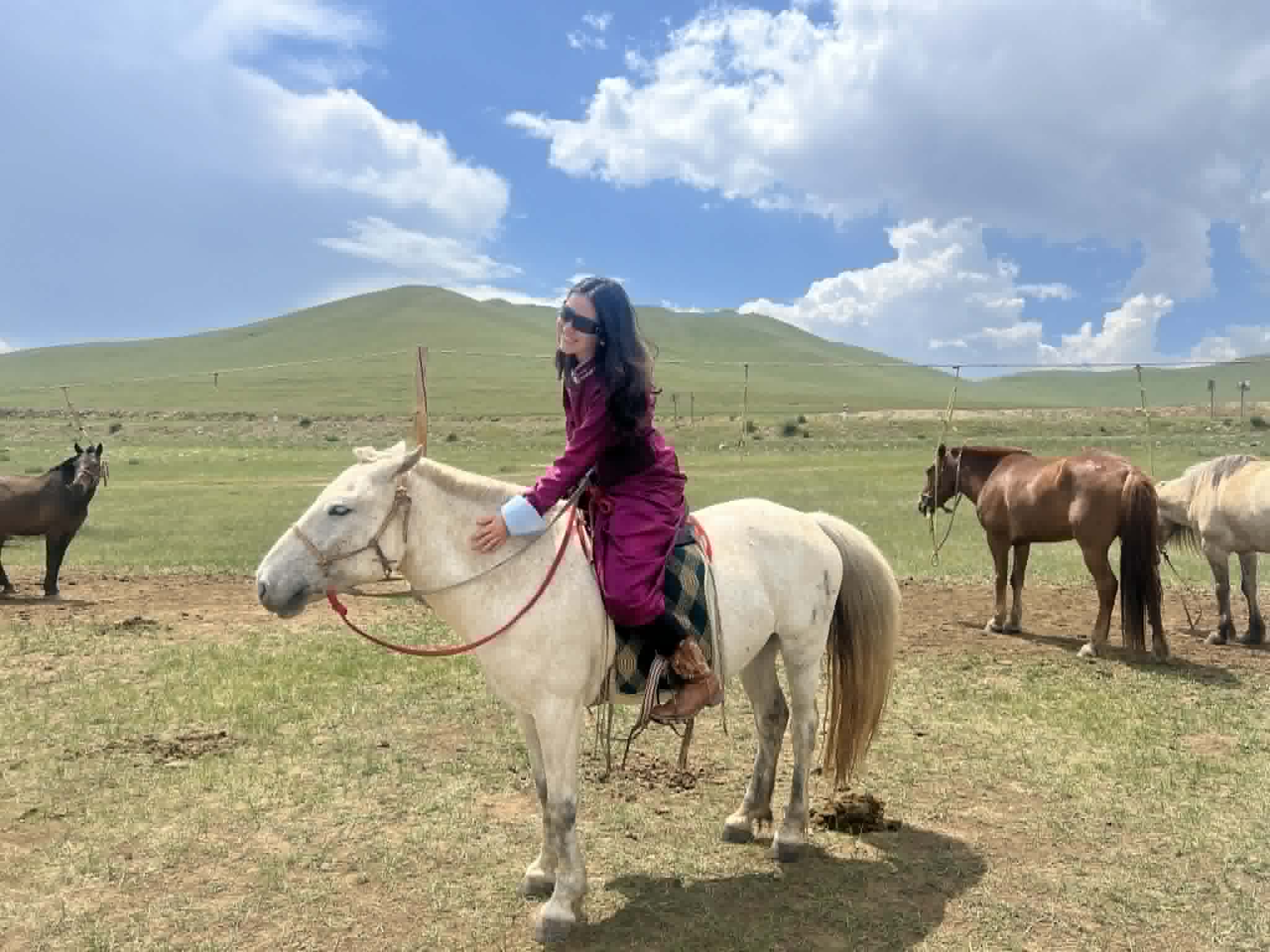Horse riding in Terelj