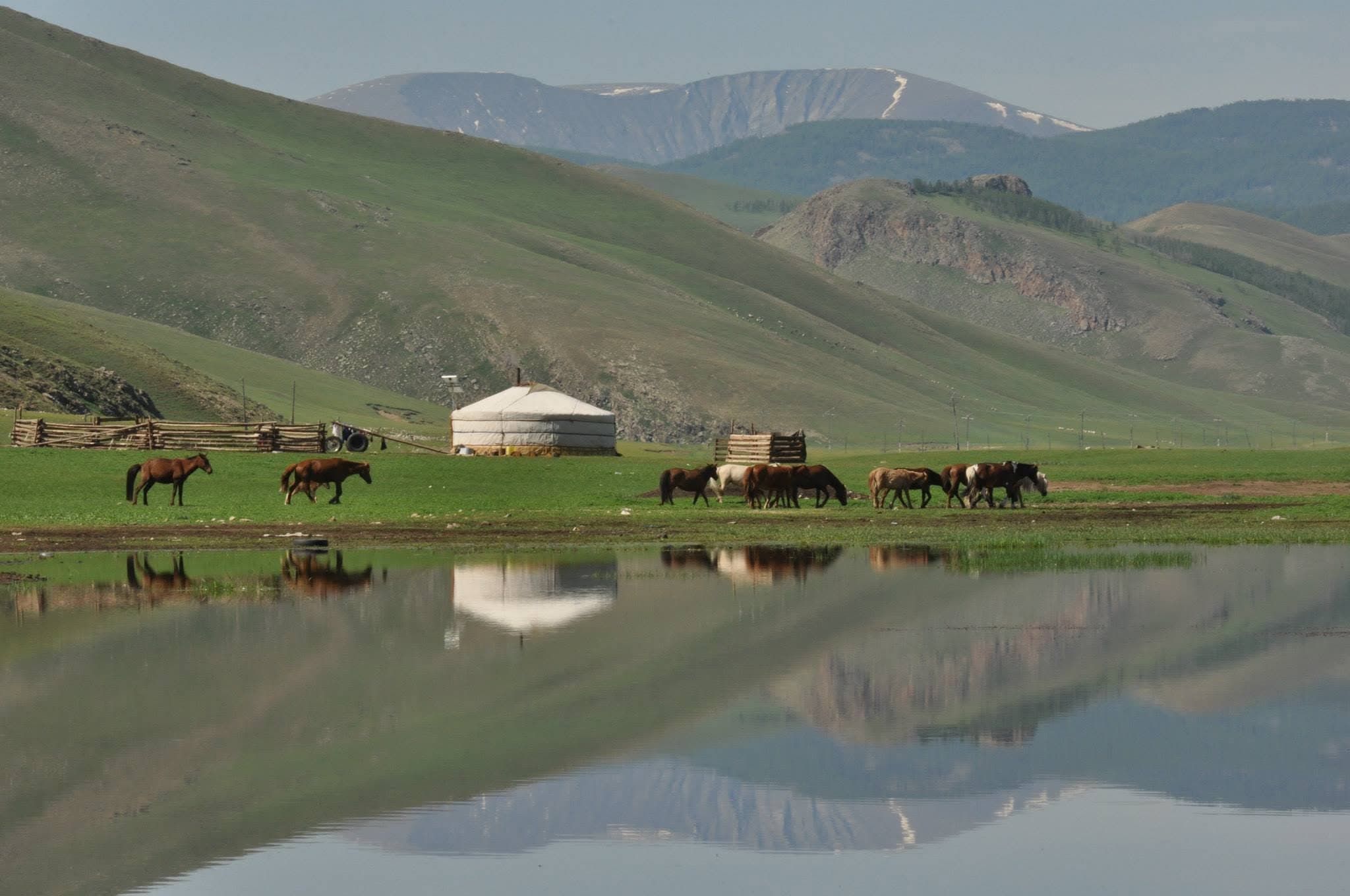 Central Steppe