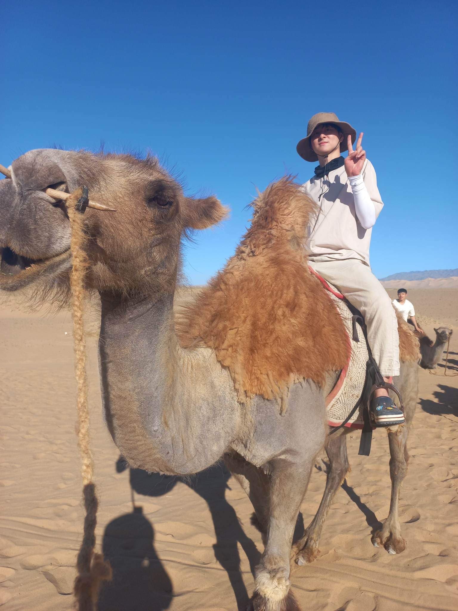 Gobi Desert