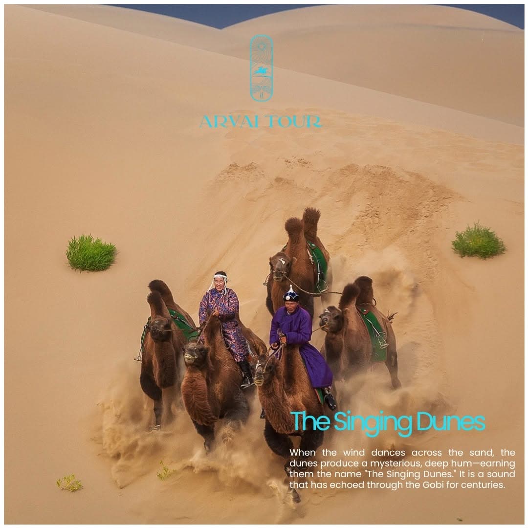Elsen tasarkhai Mini Gobi