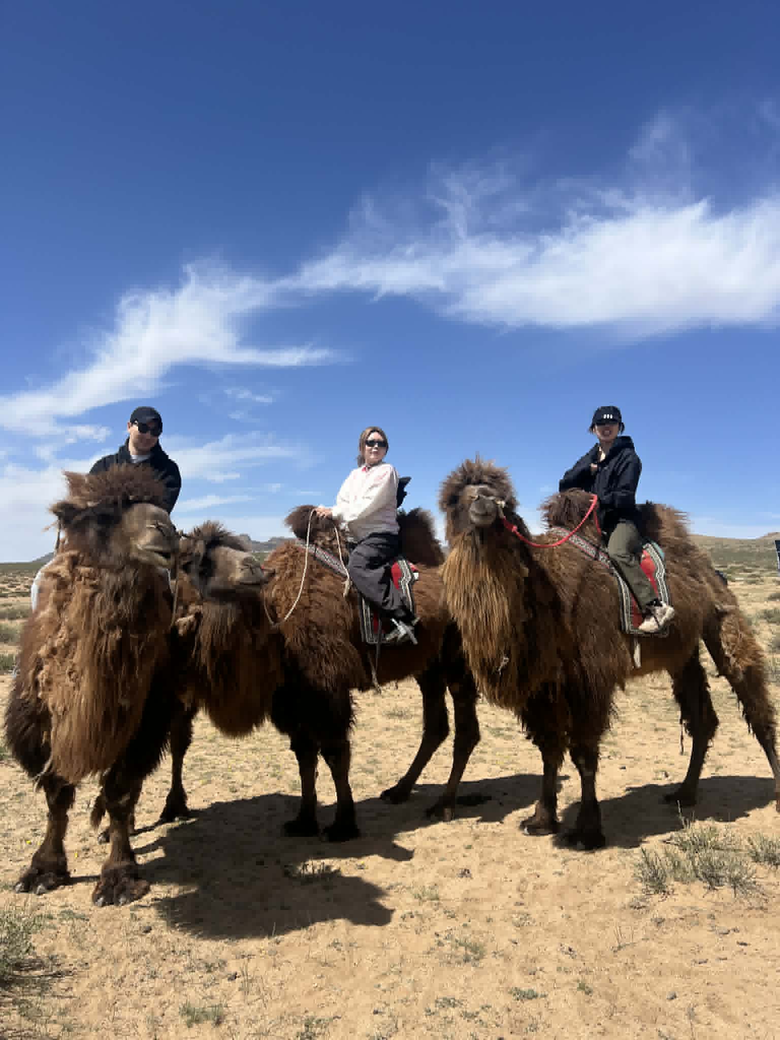 6-Day Golden Gobi Tour
